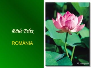 Băile Felix ROMÂNIA 