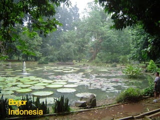 Bogor Indonesia 