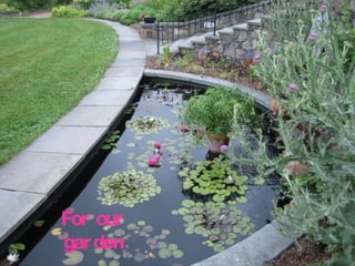 For our garden 