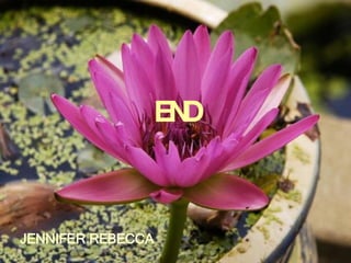 END JENNIFER REBECCA   