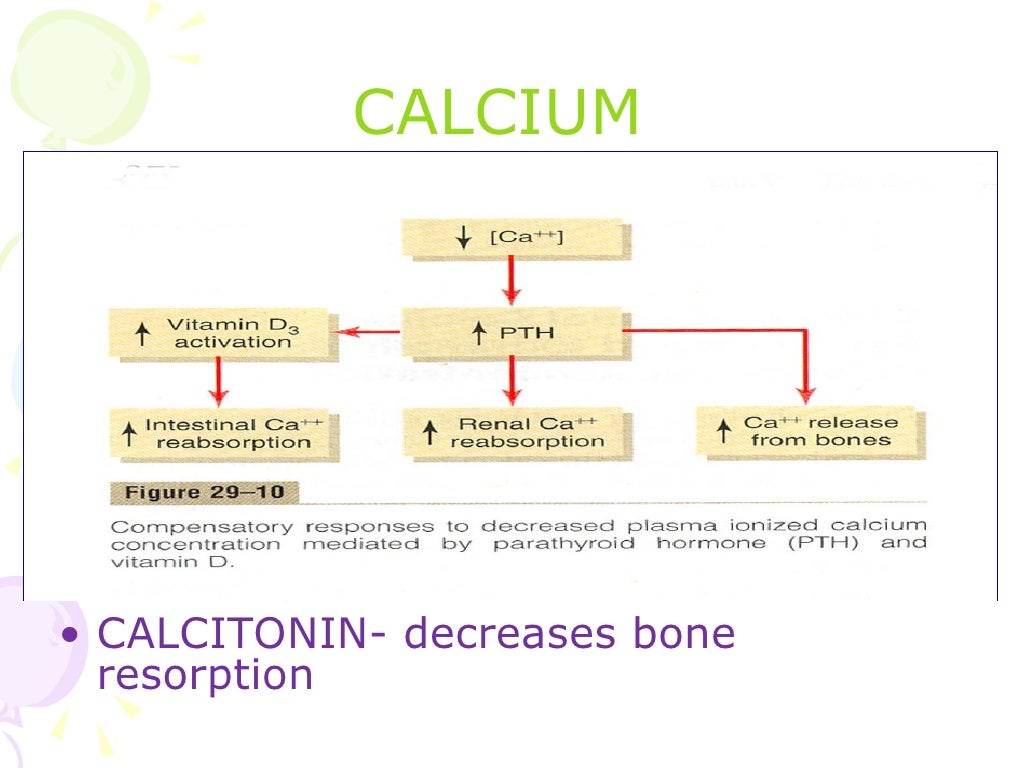 Water minerals metabolism & kidney function