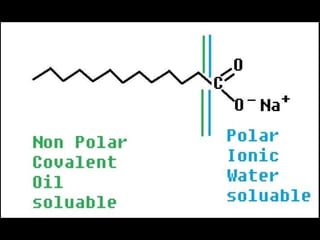 Water notes only | PPTX