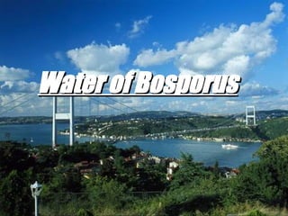 Water of Bosporus   
