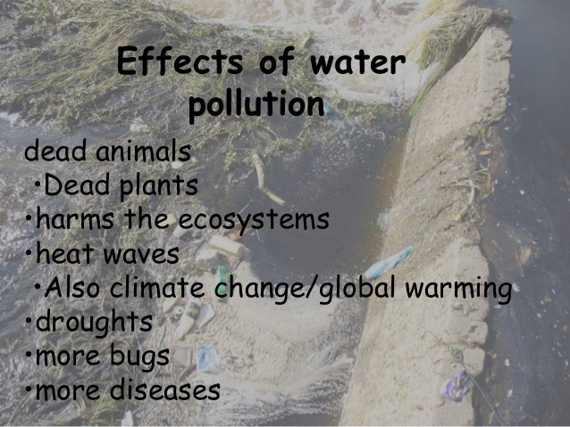 Water pollution