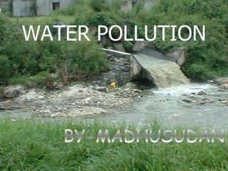 WATER POLLUTION
 