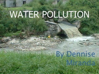 WATER POLLUTION By Dennise Miranda 