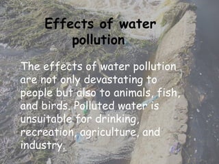 Effects of water pollution   The effects of water pollution are not only devastating to people but also to animals, fish, and birds. Polluted water is unsuitable for drinking, recreation, agriculture, and industry. 