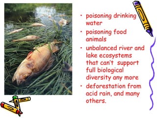 poisoning drinking water  poisoning food animals  unbalanced river and lake ecosystems that can’t  support full biological diversity any more deforestation from acid rain, and many others.   