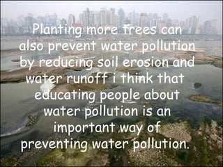 Planting more trees can also prevent water pollution by reducing soil erosion and water runoff i think that  educating people about water pollution is an important way of preventing water pollution.   