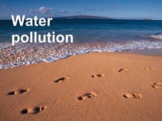 Water pollution 