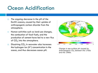 Water Pollution and Treatment