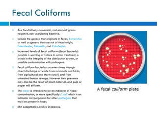 Water Pollution and Treatment