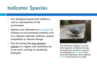 Water Pollution and Treatment