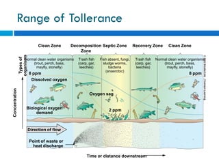 Water Pollution and Treatment