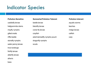 Water Pollution and Treatment