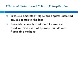 Water Pollution and Treatment