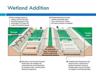 Water Pollution and Treatment