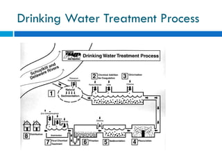 Water Pollution and Treatment