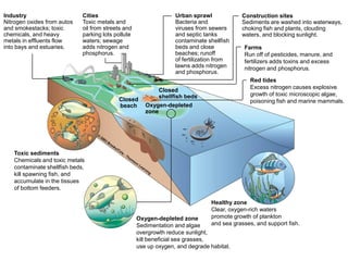 Water Pollution and Treatment