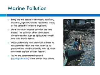Water Pollution and Treatment