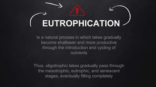 EUTROPHICATION
Is a natural process in which lakes gradually
become shallower and more productive
through the introduction and cycling of
nutrients
Thus, oligotrophic lakes gradually pass through
the mesotrophic, eutrophic, and senescent
stages, eventually filling completely
 