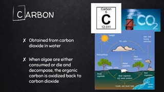 C ARBON
✘ Obtained from carbon
dioxide in water
✘ When algae are either
consumed or die and
decompose, the organic
carbon is oxidized back to
carbon dioxide
 