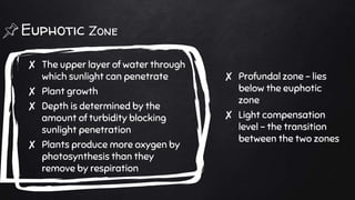 Euphotic Zone
✘ The upper layer of water through
which sunlight can penetrate
✘ Plant growth
✘ Depth is determined by the
amount of turbidity blocking
sunlight penetration
✘ Plants produce more oxygen by
photosynthesis than they
remove by respiration
✘ Profundal zone – lies
below the euphotic
zone
✘ Light compensation
level – the transition
between the two zones
 