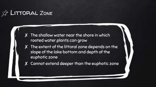 Littoral Zone
✘ The shallow water near the shore in which
rooted water plants can grow
✘ The extent of the littoral zone depends on the
slope of the lake bottom and depth of the
euphotic zone
✘ Cannot extend deeper than the euphotic zone
 