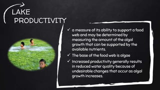 LAKE
PRODUCTIVITY
 a measure of its ability to support a food
web and may be determined by
measuring the amount of the algal
growth that can be supported by the
available nutrients.
 The base of the food web is algae
 Increased productivity generally results
in reduced water quality because of
undesirable changes that occur as algal
growth increases.
 