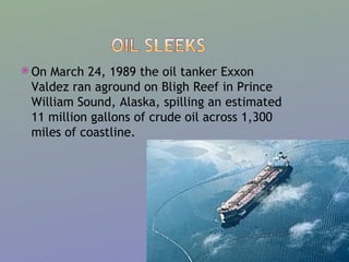 On March 24, 1989 the oil tanker Exxon Valdez ran aground on Bligh Reef in Prince William Sound, Alaska, spilling an estimated 11 million gallons of crude oil across 1,300 miles of coastline. 