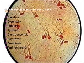 Diarrhea Dysentery Cholera Typhoid Gastroenteritis Hay fever Amebiasis And lots more 