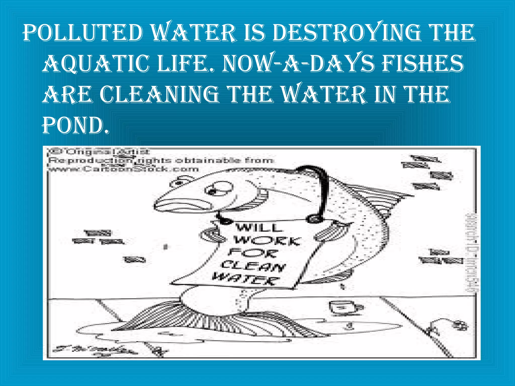 POLLUTEd WATER Is dEsTROyINg ThE
AqUATIc LIfE. NOW-A-dAys fIshEs
ARE cLEANINg ThE WATER IN ThE
PONd.
 