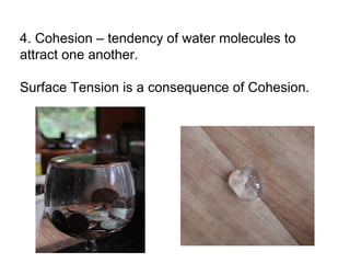 4. Cohesion – tendency of water molecules to attract one another. Surface Tension is a consequence of Cohesion. 