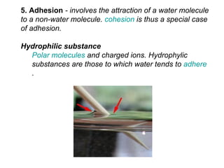 5. Adhesion  - involves the attraction of a water molecule to a non-water molecule.  cohesion  is thus a special case of adhesion.  Hydrophilic substance   Polar molecules  and charged ions. Hydrophylic substances are those to which water tends to  adhere .                                                                                                                                                