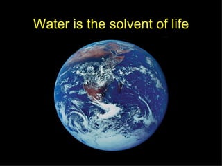 Water is the solvent of life 