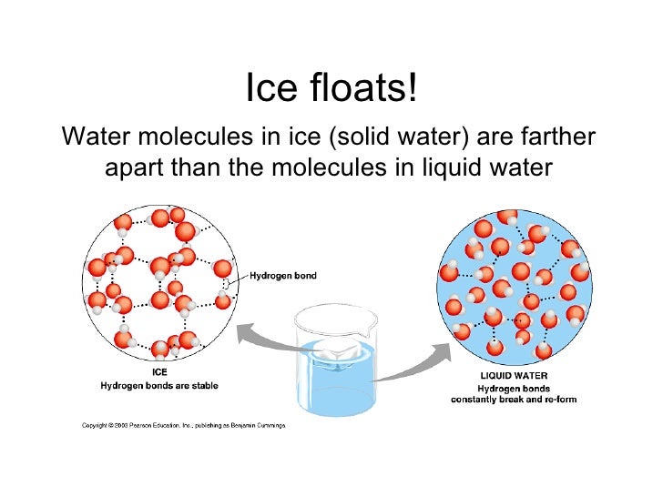 Why does ice float in liquid water The Millennial Mirror