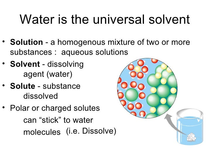 Water