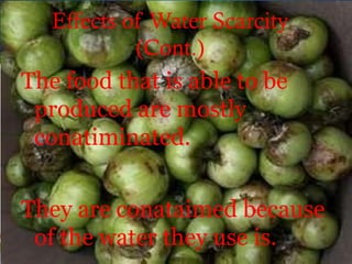 Effects of Water Scarcity
(Cont.)
The food that is able to be
produced are mostly
conatiminated.
They are conataimed because
of the water they use is.
 