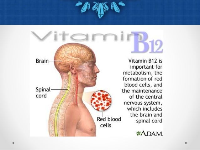 Water Soluble Vitamins