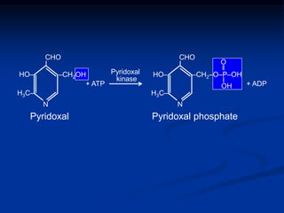 N
HO‒
H3C‒
‒CH2OH
CHO
I
CHO
I
HO‒
H3C‒
‒CH2‒O‒P‒OH
+ ATP + ADP
‖
O
OH
Pyridoxal Pyridoxal phosphate
Pyridoxal
kinase
N
I
 