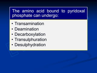 The amino acid bound to pyridoxal
phosphate can undergo:
• Transamination
• Deamination
• Decarboxylation
• Transulphuration
• Desulphydration
 