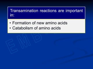 Transamination reactions are important
in:
• Formation of new amino acids
• Catabolism of amino acids
 