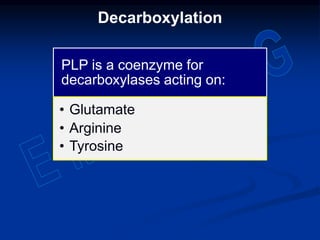 Decarboxylation
PLP is a coenzyme for
decarboxylases acting on:
• Glutamate
• Arginine
• Tyrosine
 