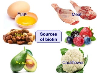 CauliflowerAvocado
Berries
Eggs Meat
Nuts Sources
of biotin
 