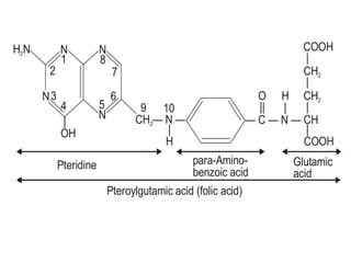 H N2 N
N
|
OH
1
2
3
4
N
5
6
7
8
N
9 10
CH — N —2 — C — N — CH
| |
H COOH
COOH
|
CH2
|
CH2
|
O
||
H
|
Pteridine para-Amino-
benzoic acid
Glutamic
acid
Pteroylgutamic acid (folic acid)
 
