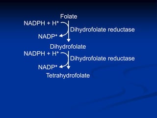 Dihydrofolate
Tetrahydrofolate
Folate
Dihydrofolate reductase
Dihydrofolate reductase
NADPH + H+
NADPH + H+
NADP+
NADP+
 