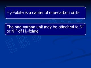 H4-Folate is a carrier of one-carbon units
The one-carbon unit may be attached to N5
or N10 of H4-folate
 