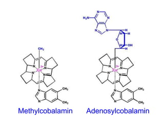 Methylcobalamin Adenosylcobalamin
 