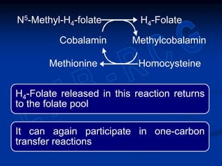H4-FolateN5-Methyl-H4-folate
MethylcobalaminCobalamin
Methionine Homocysteine
H4-Folate released in this reaction returns
to the folate pool
It can again participate in one-carbon
transfer reactions
 