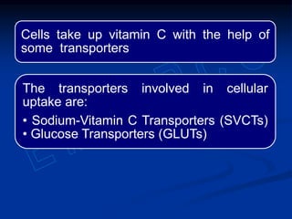 Cells take up vitamin C with the help of
some transporters
The transporters involved in cellular
uptake are:
• Sodium-Vitamin C Transporters (SVCTs)
• Glucose Transporters (GLUTs)
 
